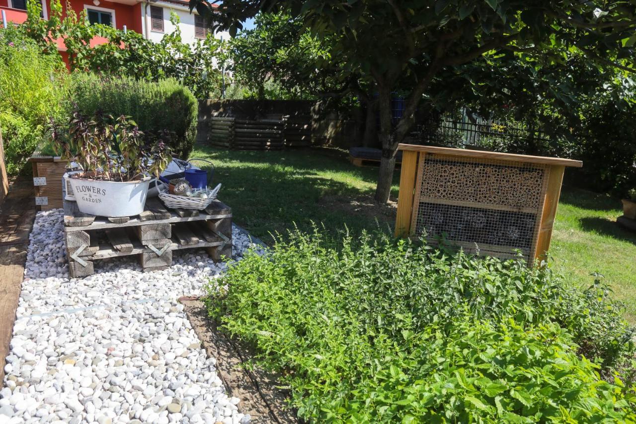Healthy House Glamping Hotel Koper Exterior photo