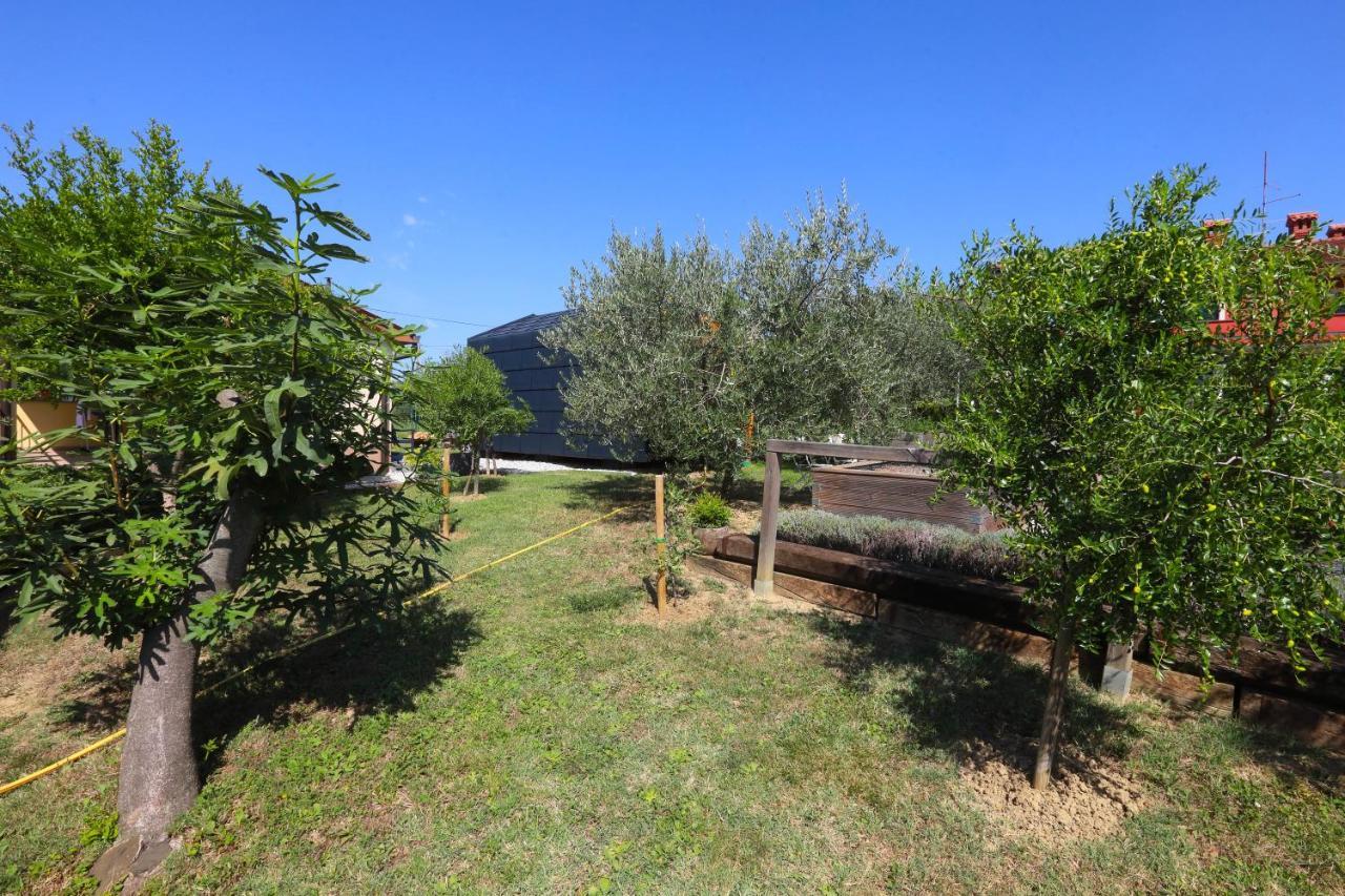 Healthy House Glamping Hotel Koper Exterior photo