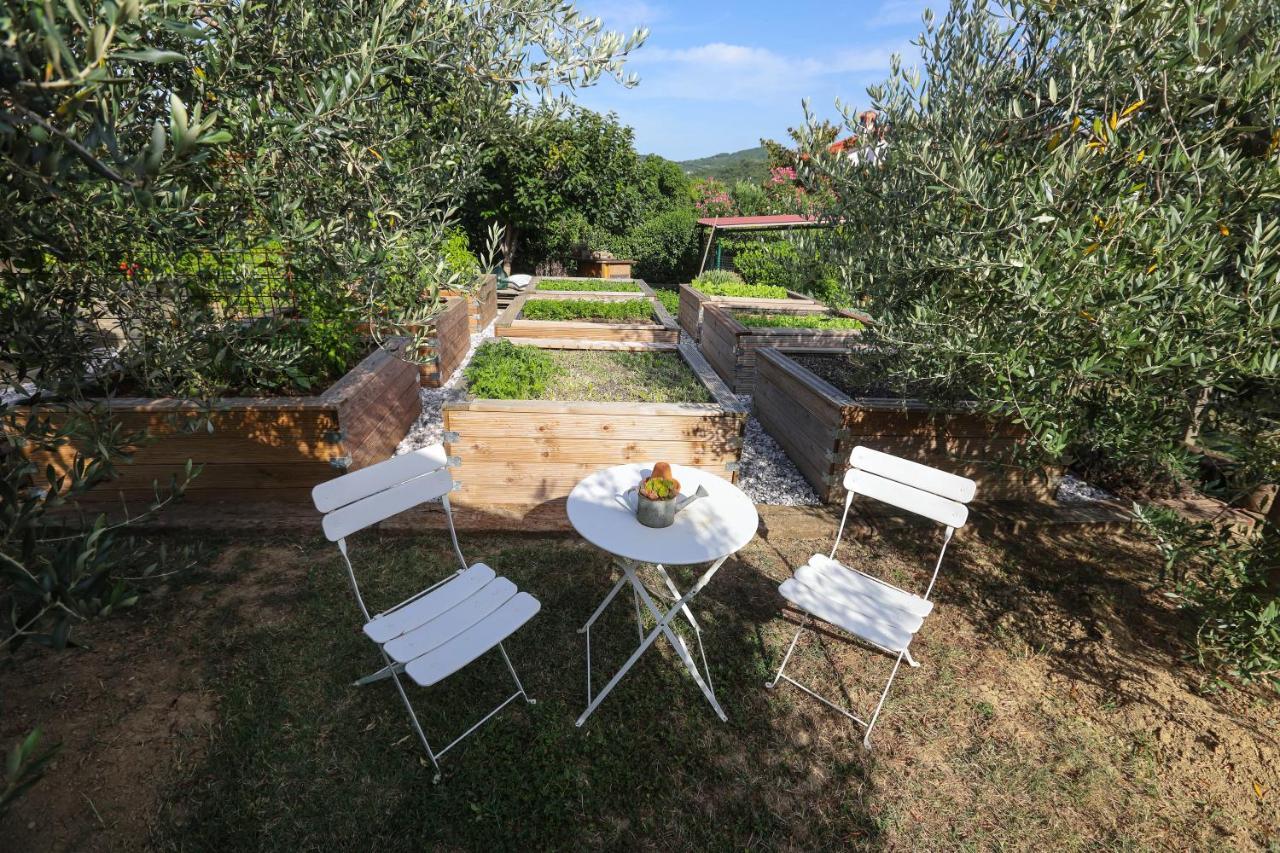 Healthy House Glamping Hotel Koper Exterior photo