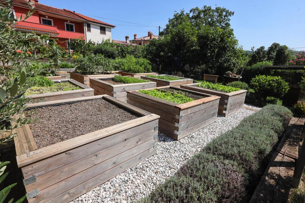 Healthy House Glamping Hotel Koper Exterior photo